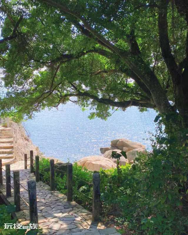 深圳海边景点排行榜前十名(深圳这十个绝美沙滩景点攻略)-图片7